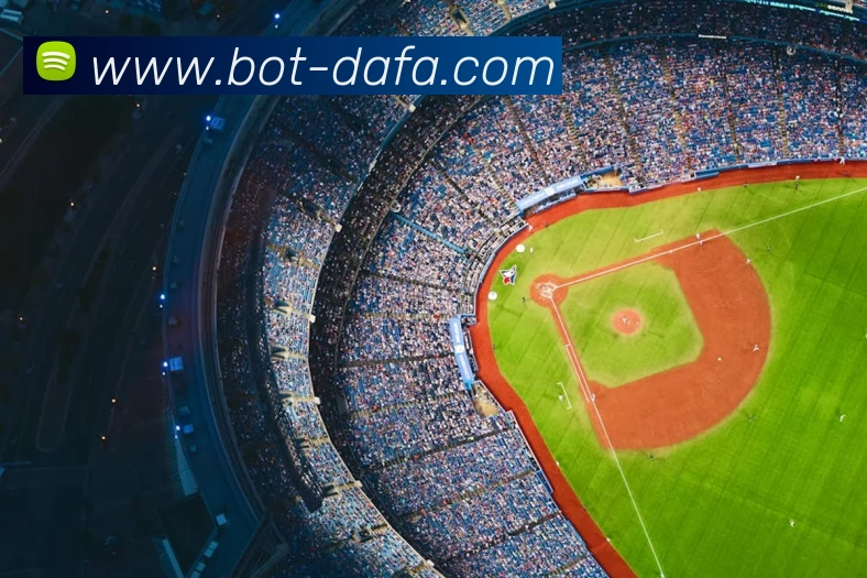 大发彩票服务体系